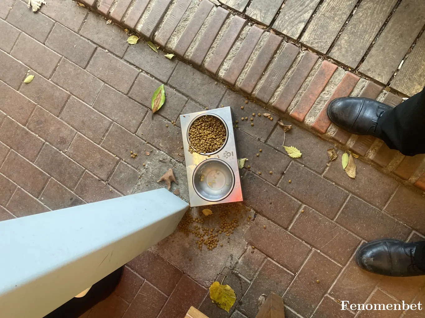 Kurmanc tarafından paylaşılan fotoğraf