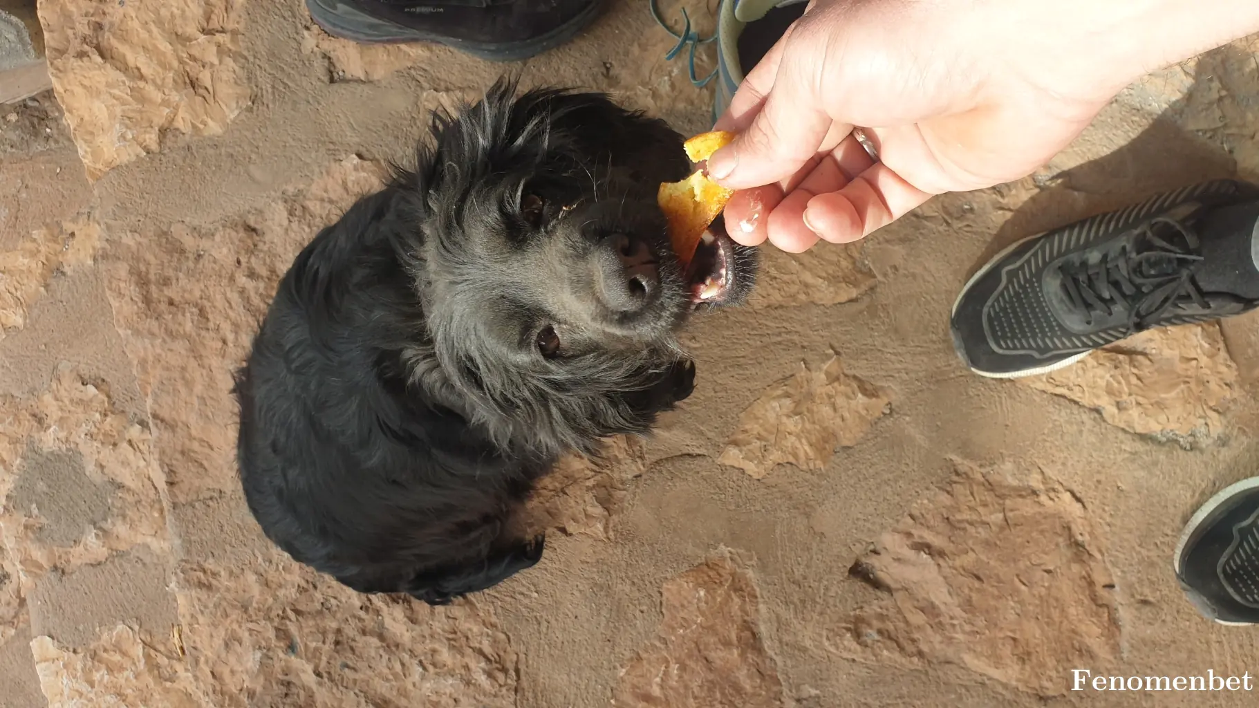 Serkan3327 tarafından paylaşılan fotoğraf