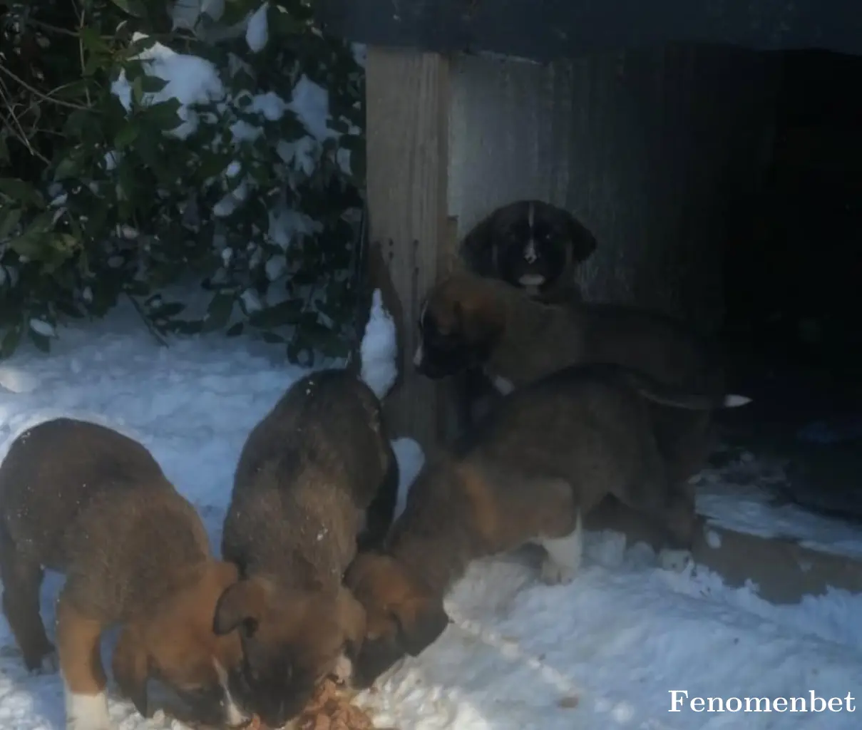 Bara800 tarafından paylaşılan fotoğraf