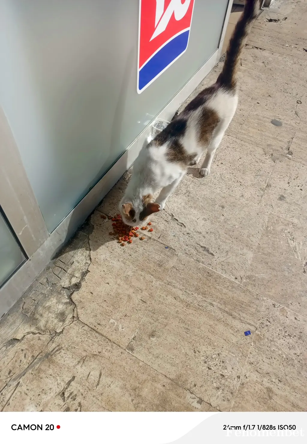 typ2828 tarafından paylaşılan fotoğraf