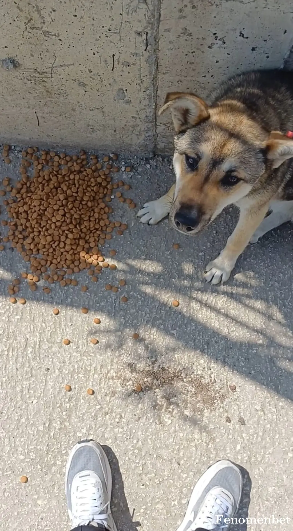 kobemonk tarafından paylaşılan fotoğraf