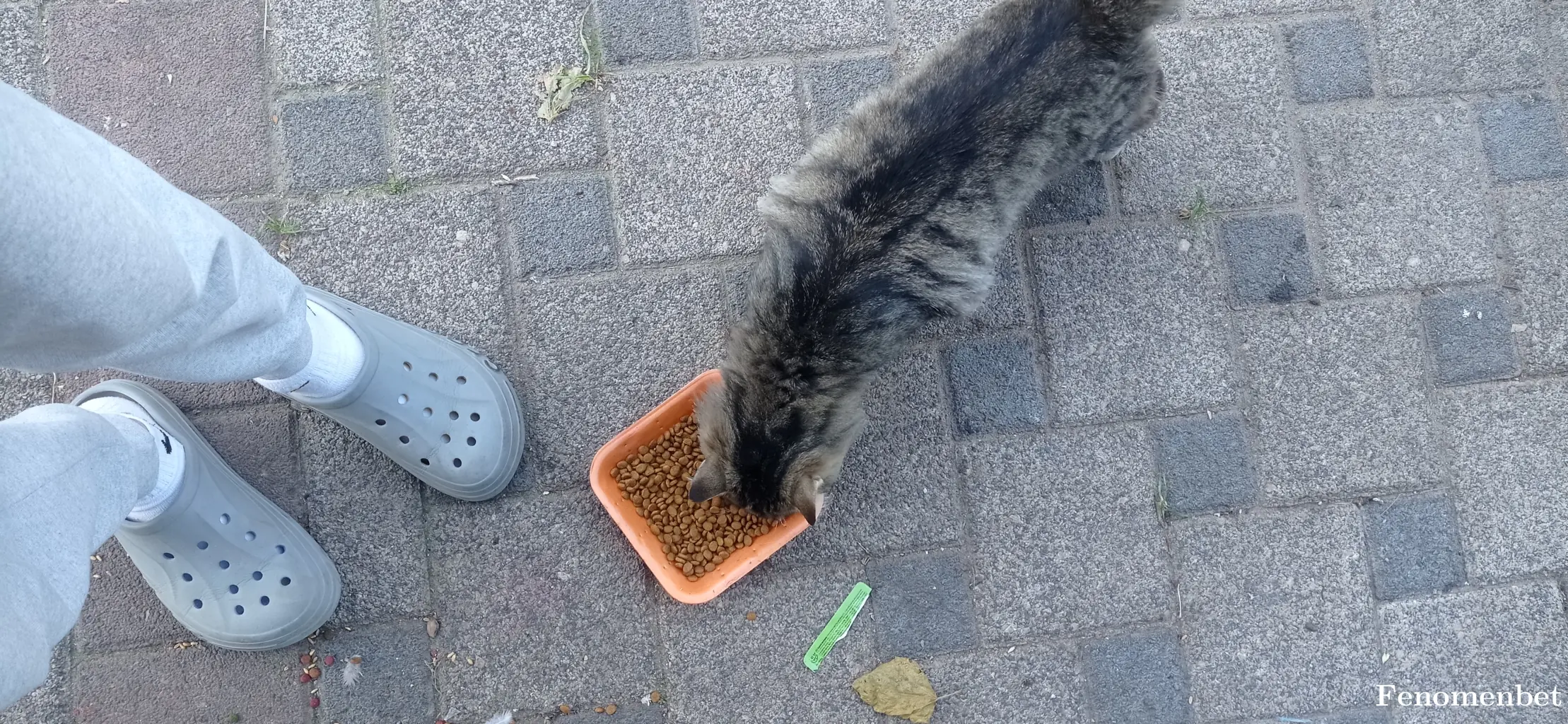 Rulo1661 tarafından paylaşılan fotoğraf