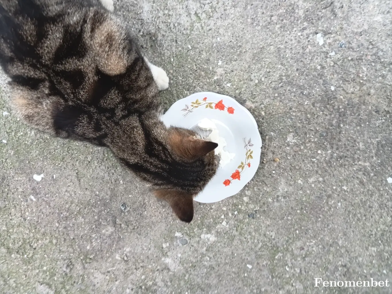 Mahir80 tarafından paylaşılan fotoğraf