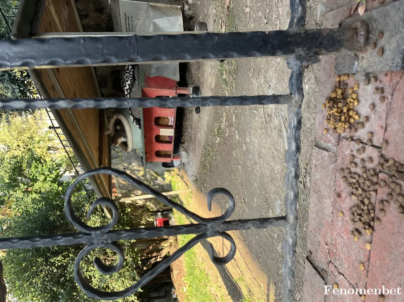 gokhanbet3 tarafından paylaşılan fotoğraf