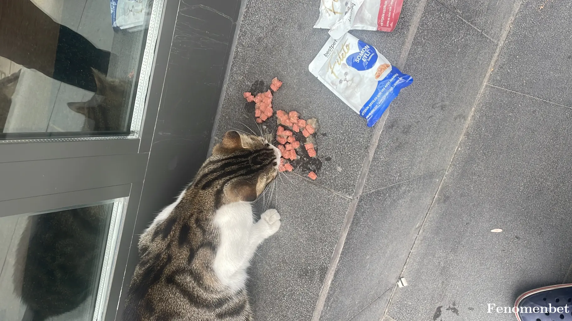 Boss1907 tarafından paylaşılan fotoğraf