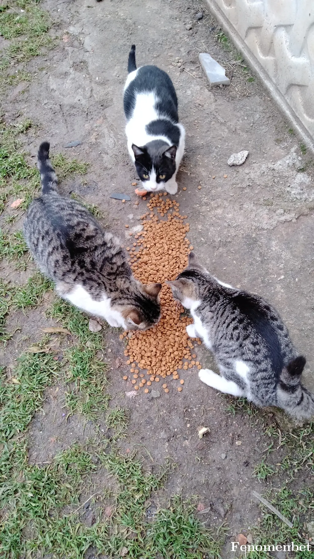 umshn20 tarafından paylaşılan fotoğraf