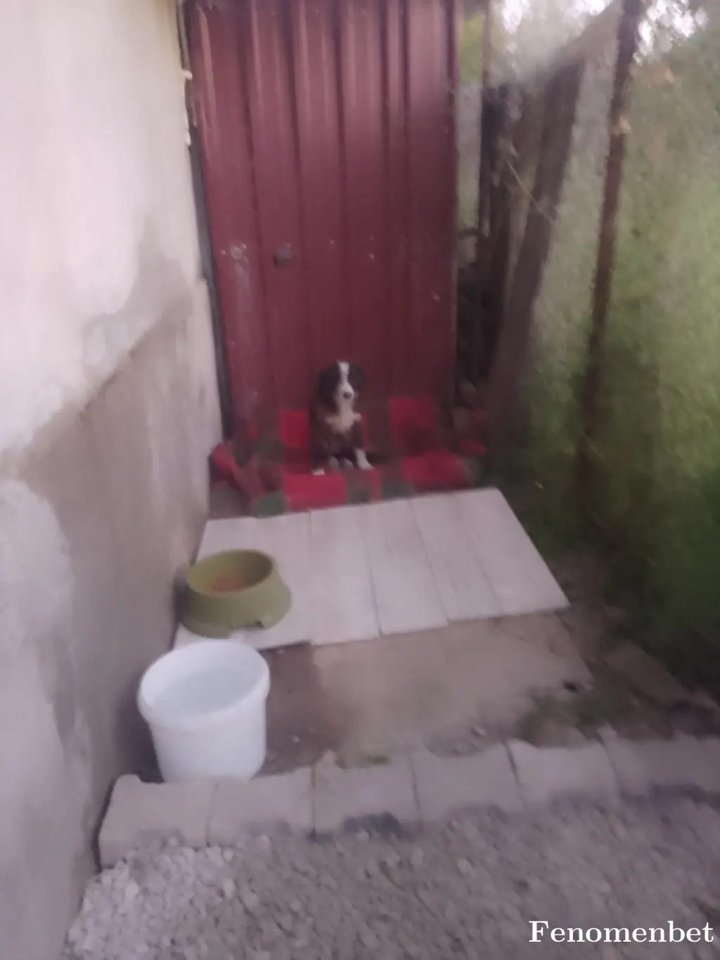 Ural99 tarafından paylaşılan fotoğraf