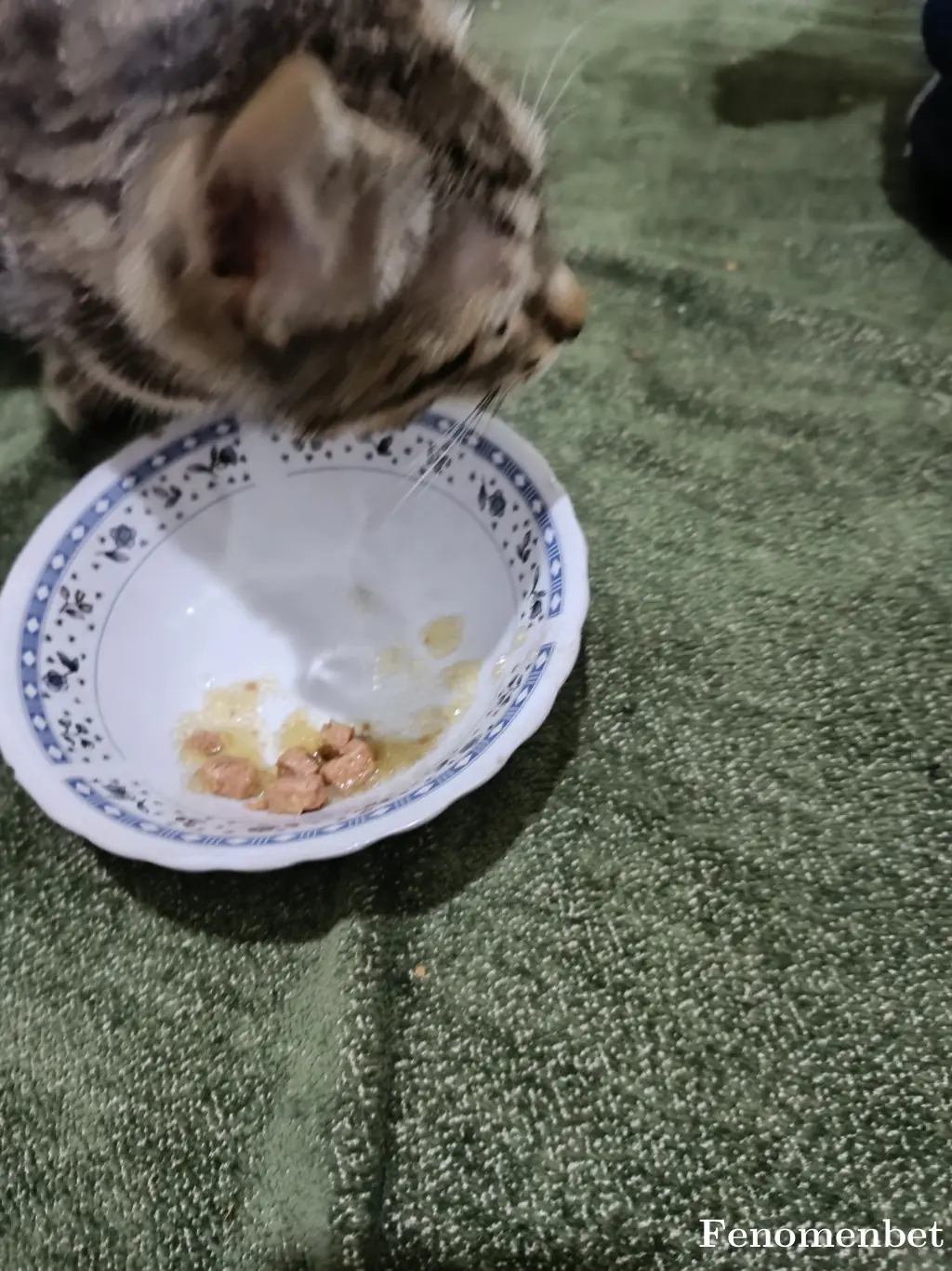 Ssevdaa tarafından paylaşılan fotoğraf