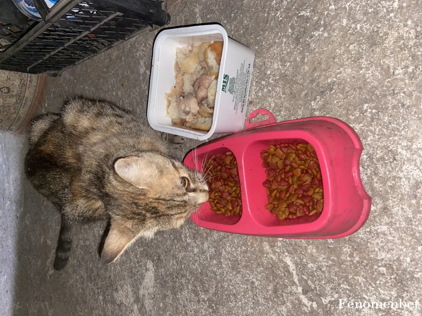 Gizem8181 tarafından paylaşılan fotoğraf