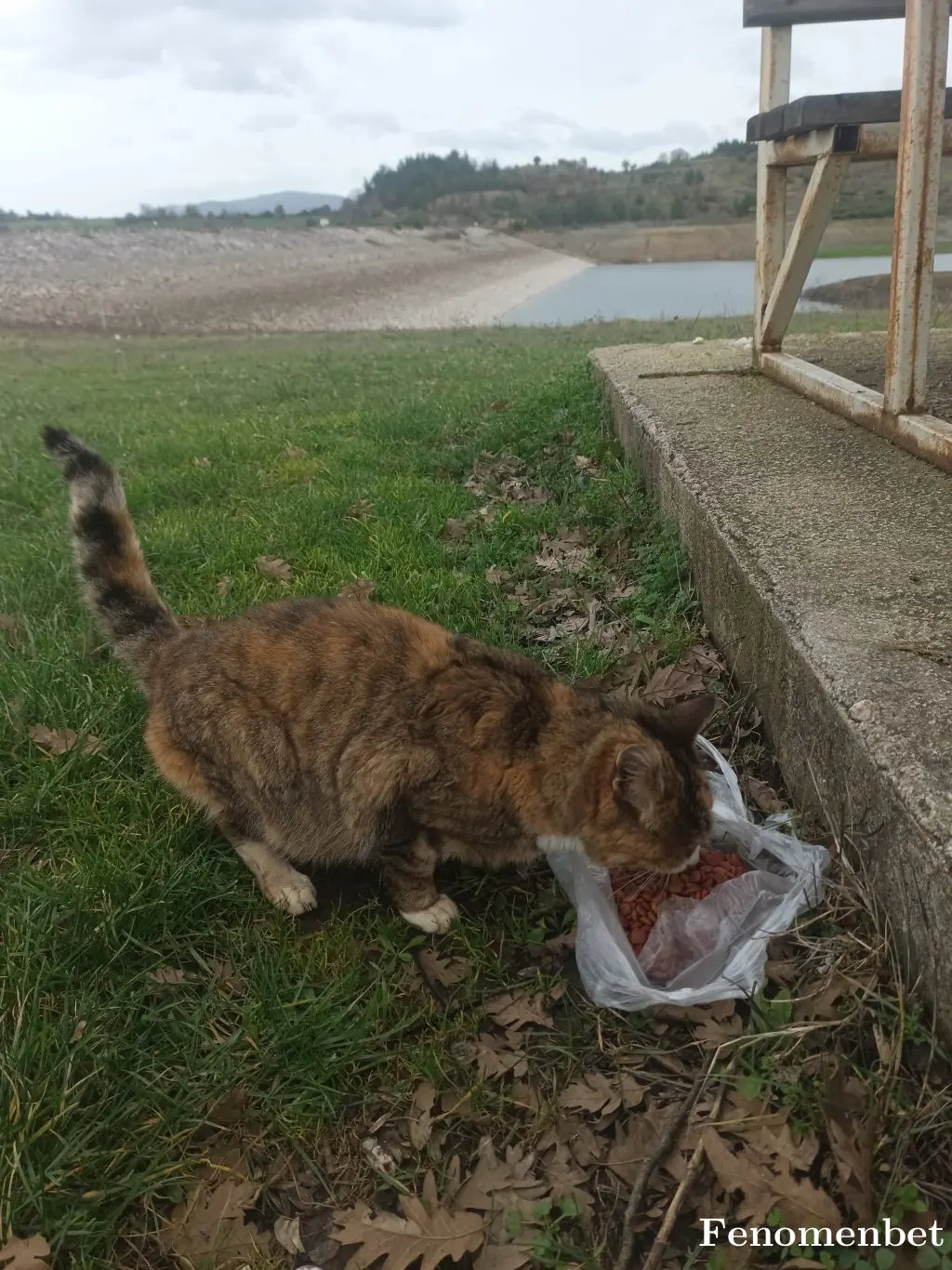 Cheto17 tarafından paylaşılan fotoğraf