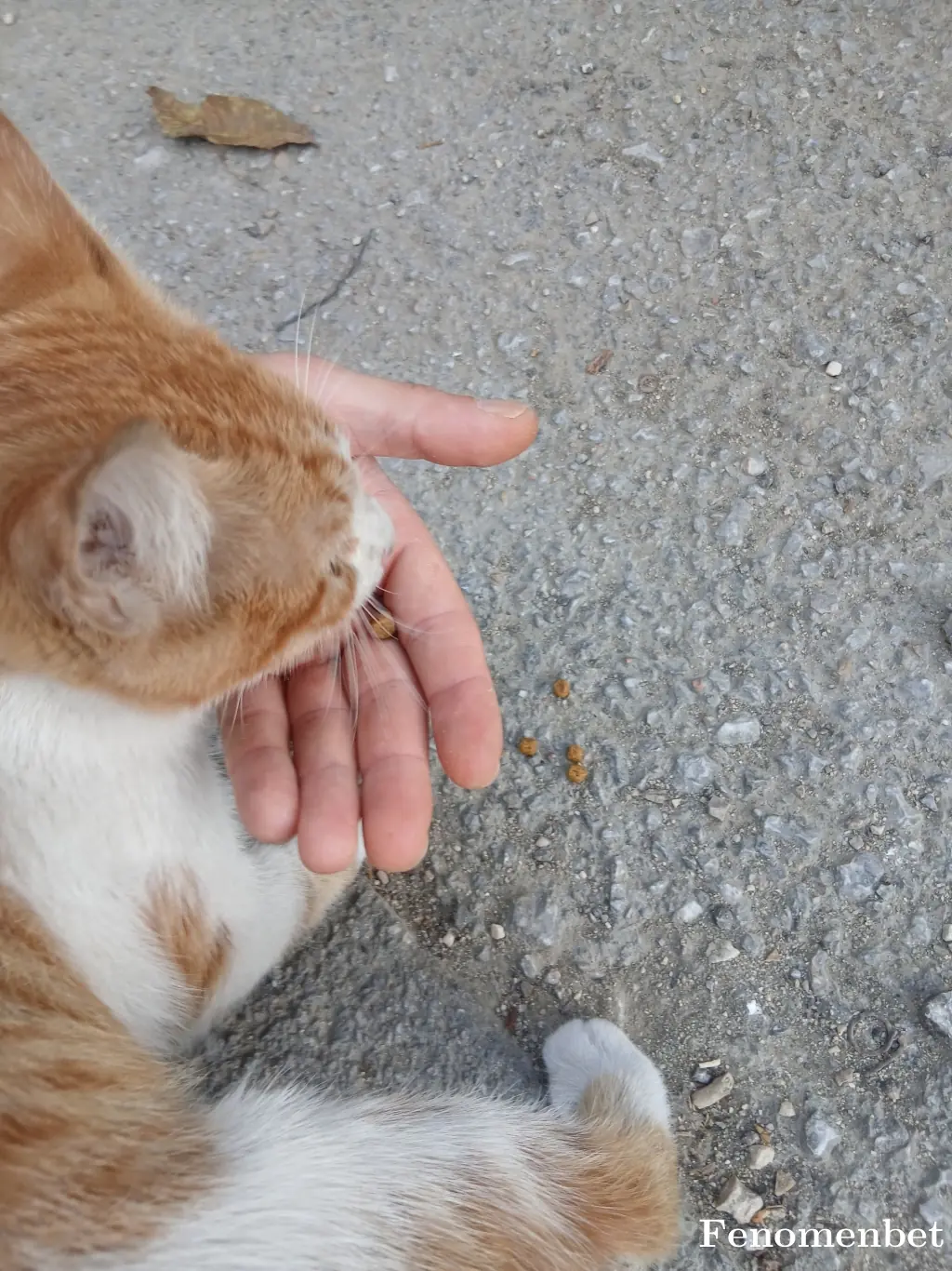 Missi16 tarafından paylaşılan fotoğraf