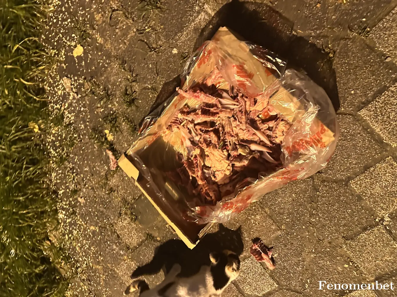 an5252 tarafından paylaşılan fotoğraf