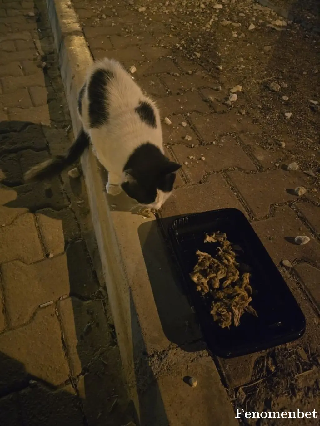 ByOzzkan tarafından paylaşılan fotoğraf