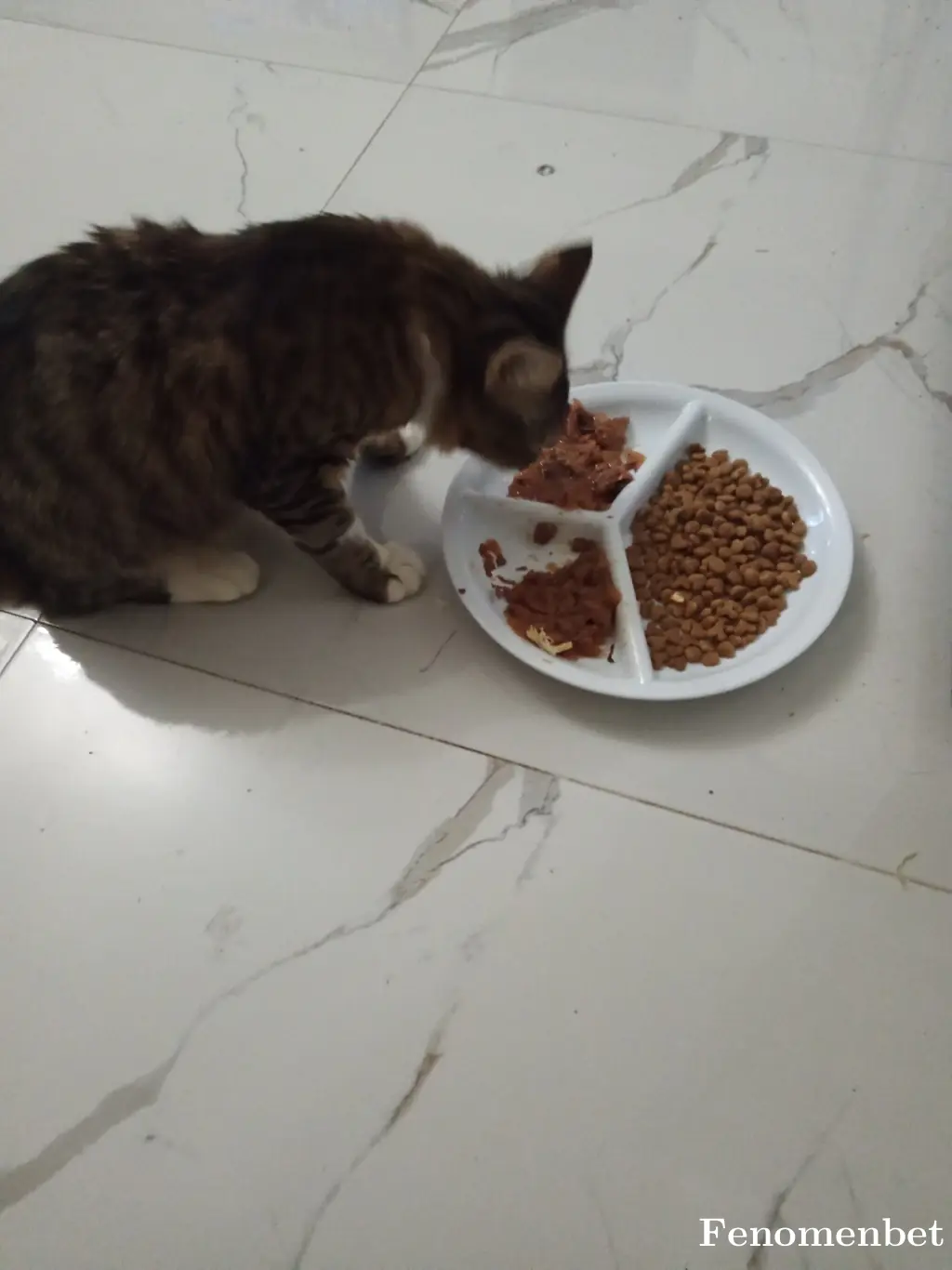 KOMARYUS tarafından paylaşılan fotoğraf