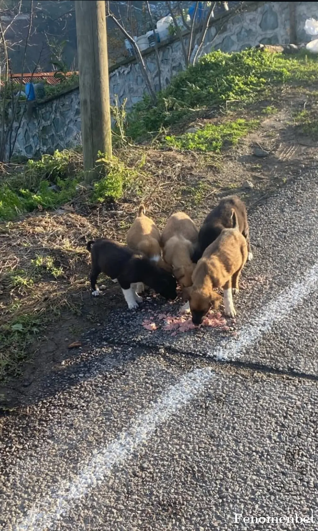 turgay082 tarafından paylaşılan fotoğraf