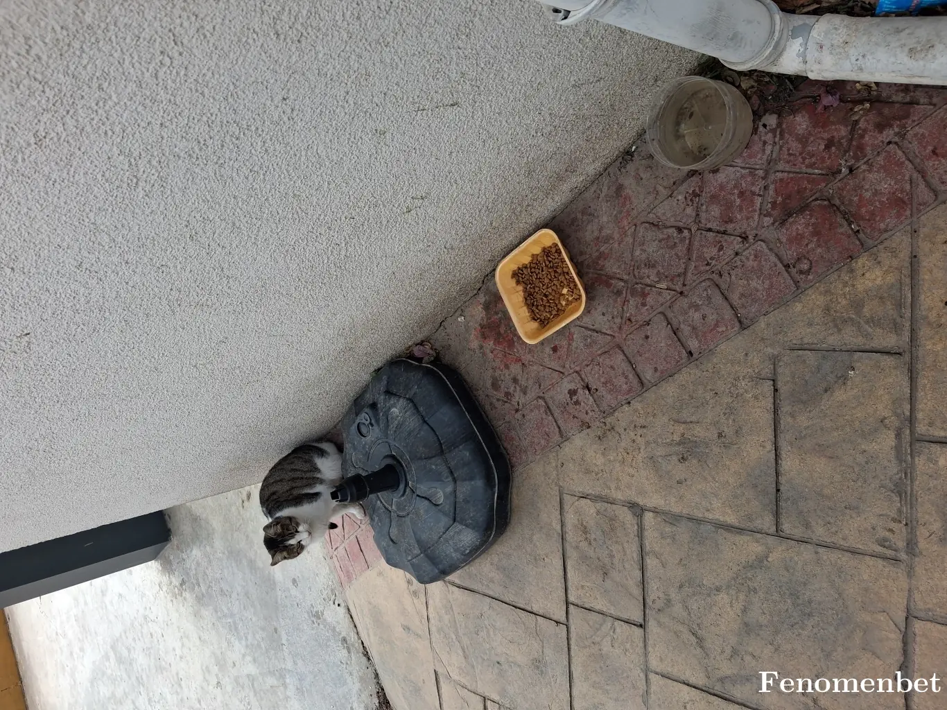 4ever77 tarafından paylaşılan fotoğraf