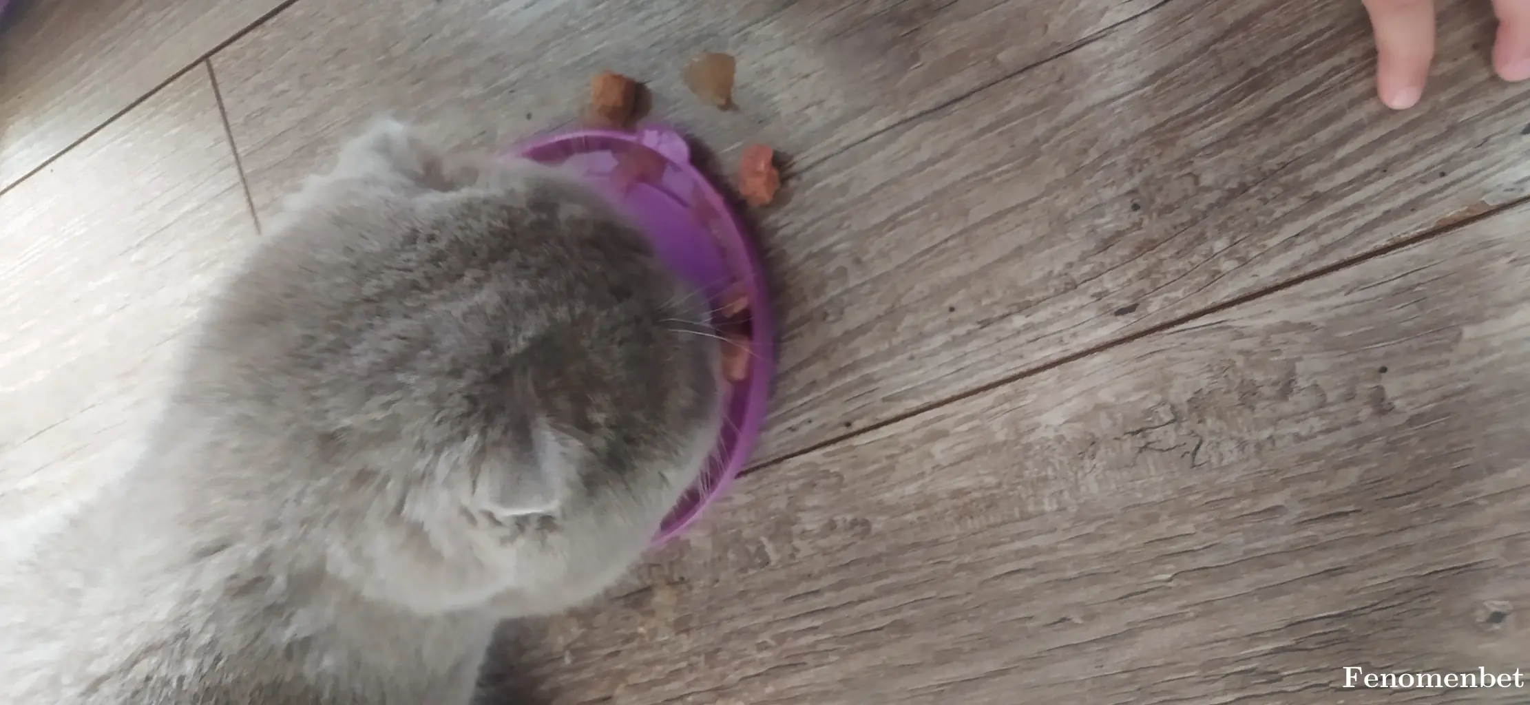 Aryam27 tarafından paylaşılan fotoğraf