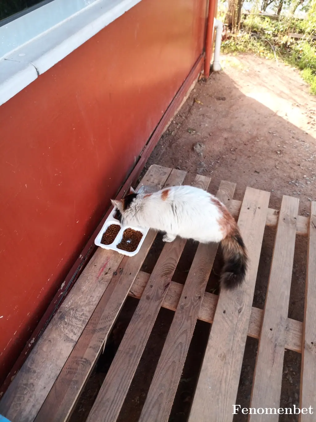 metehkn tarafından paylaşılan fotoğraf