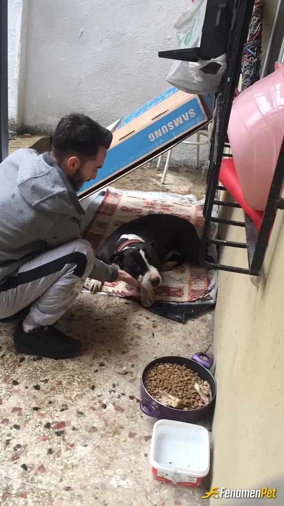 Sokak hayvanı besleme: Bu soğuk havalar da küçük patili dostlarımızı unutmamalıyız. :)
Namıdeğer (Max) olur kendisi.. Evlatt :))