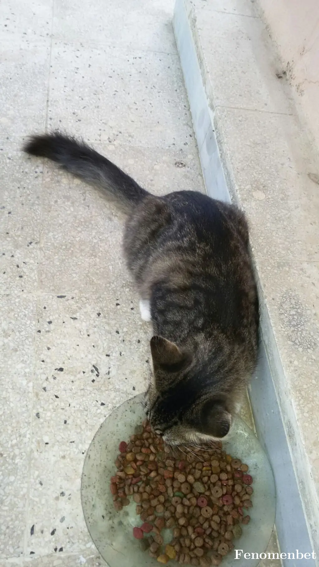 Engin1916 tarafından paylaşılan fotoğraf