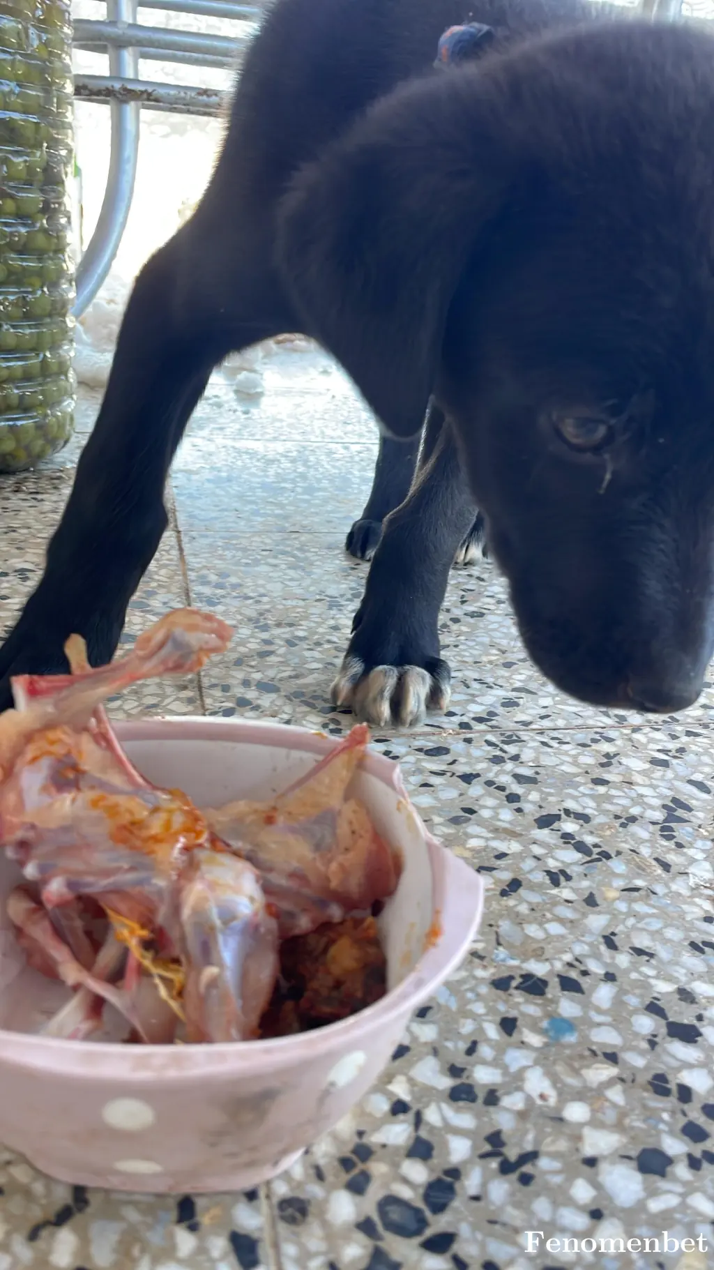 Slm122 tarafından paylaşılan fotoğraf