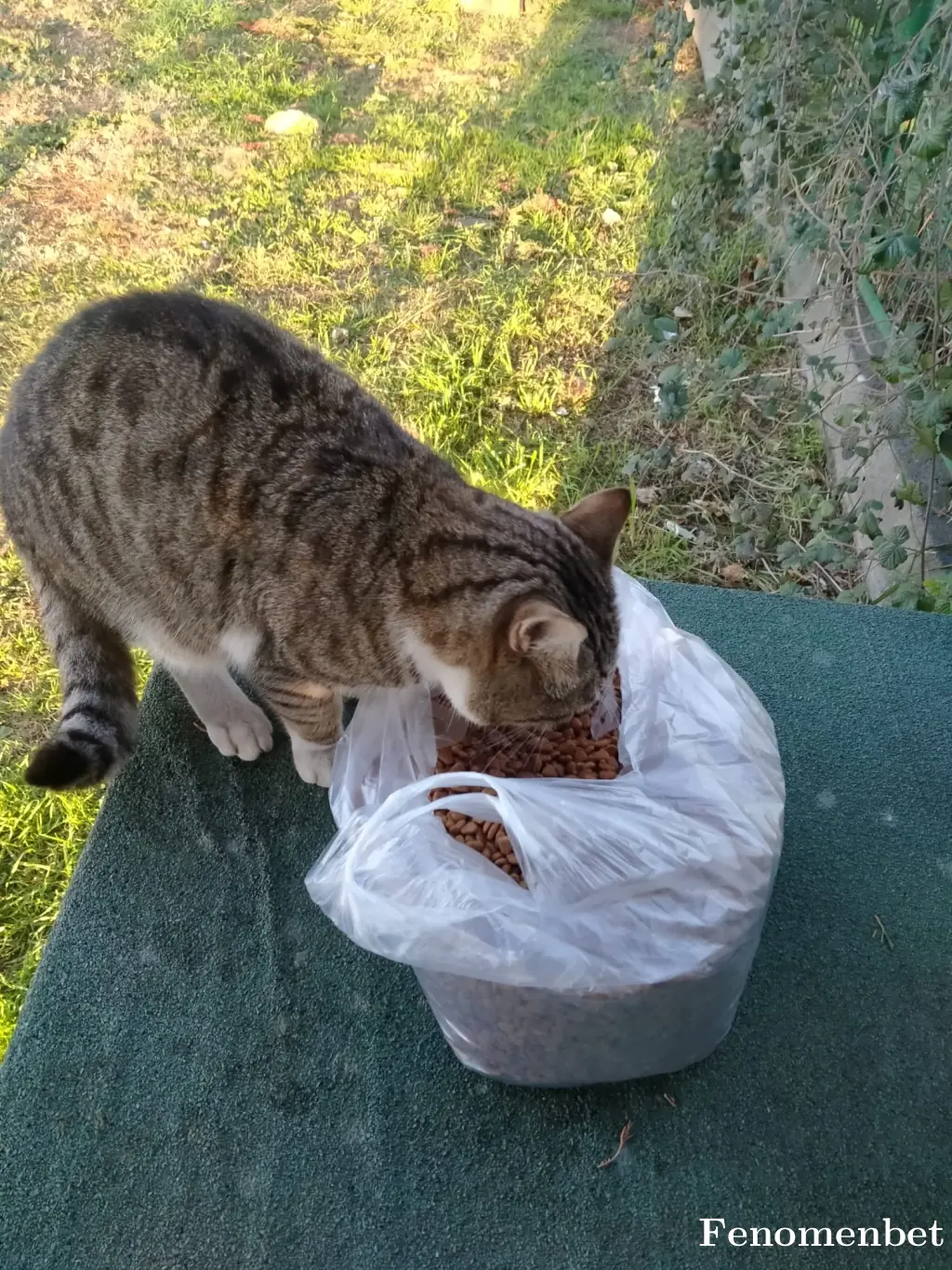 ustaromantik  tarafından paylaşılan fotoğraf