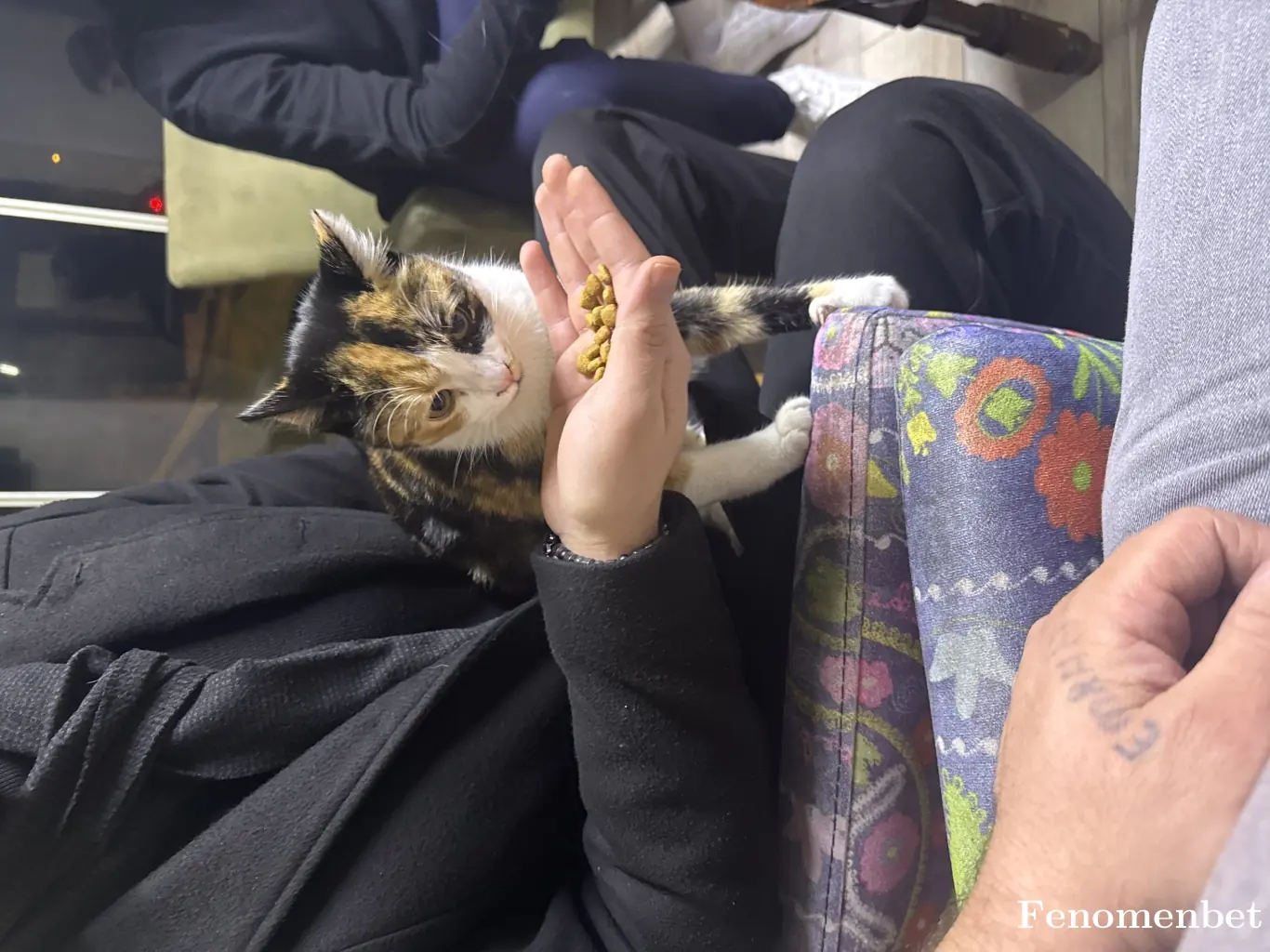 Dogukanbasol2116 tarafından paylaşılan fotoğraf