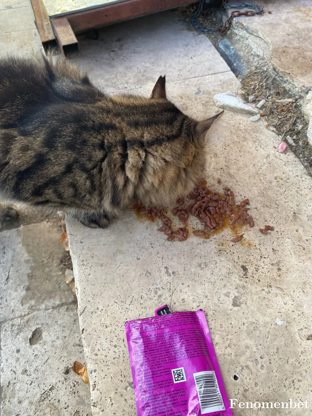 Mltmilhn tarafından paylaşılan fotoğraf