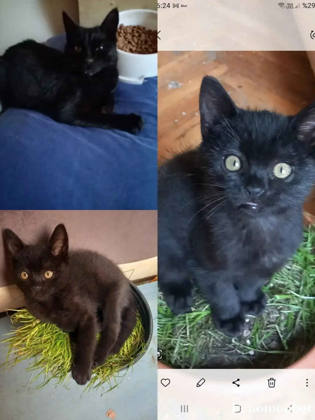 emineayturaz tarafından paylaşılan fotoğraf