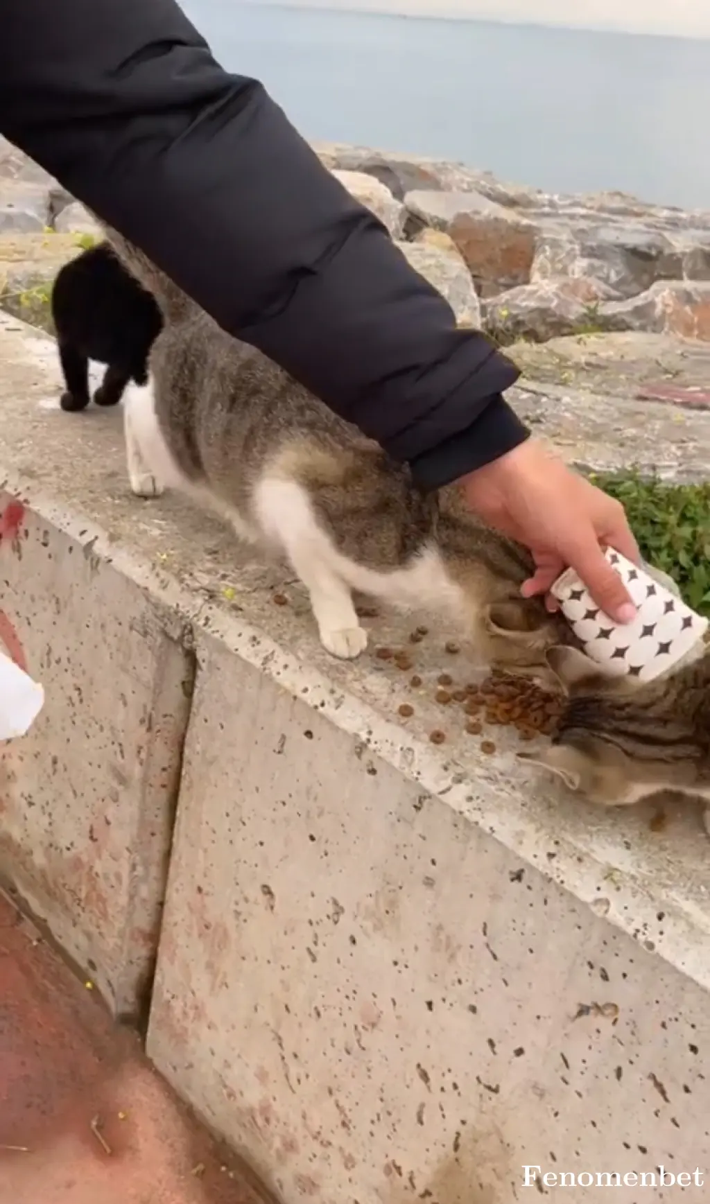 Maxxi11 tarafından paylaşılan fotoğraf