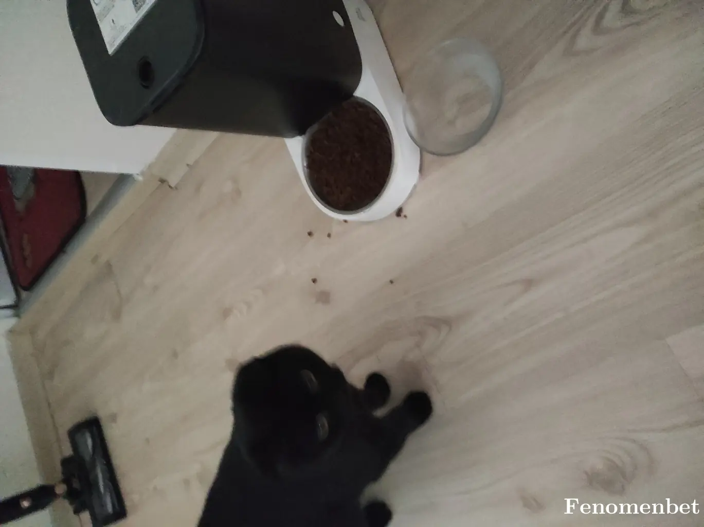 dadas253511 tarafından paylaşılan fotoğraf