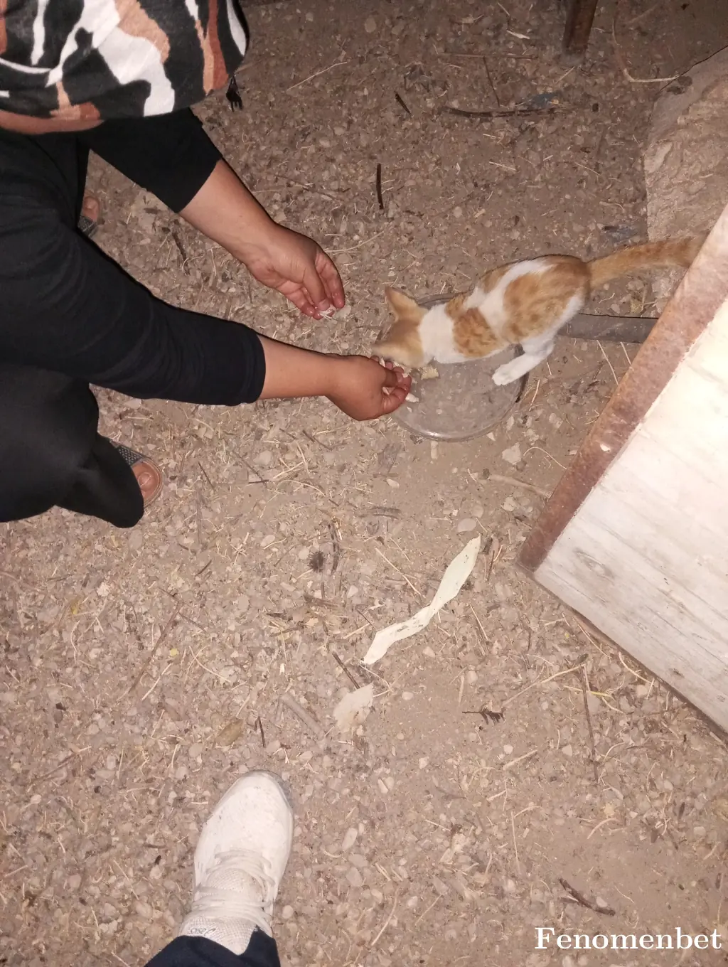 Sira46  tarafından paylaşılan fotoğraf