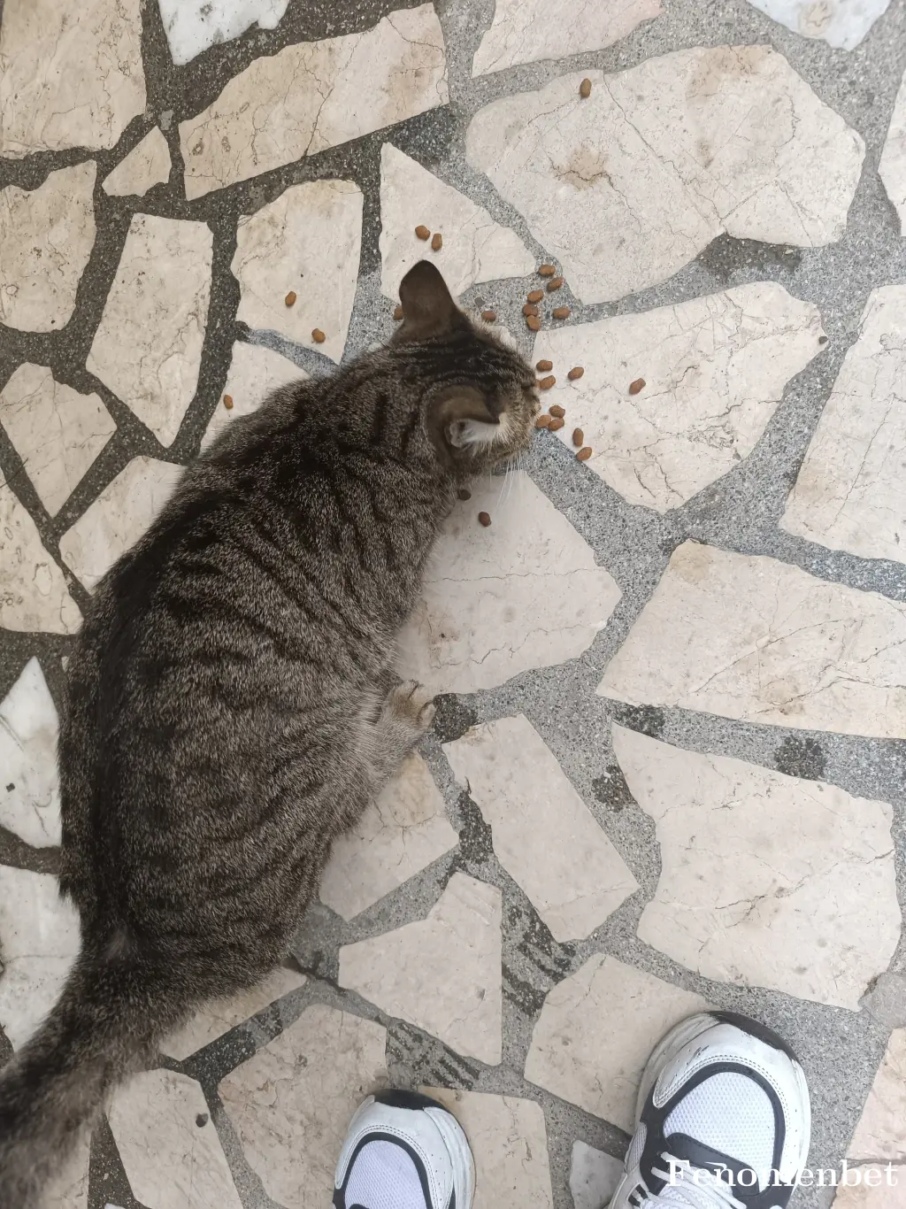 Ediz1631 tarafından paylaşılan fotoğraf