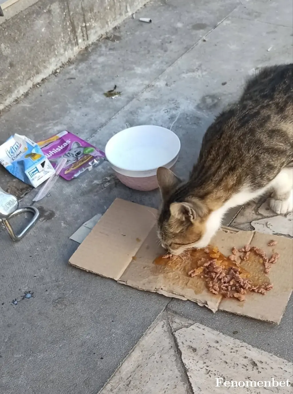 vedau30 tarafından paylaşılan fotoğraf