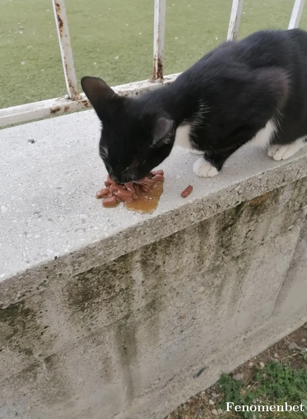 Cafadam tarafından paylaşılan fotoğraf