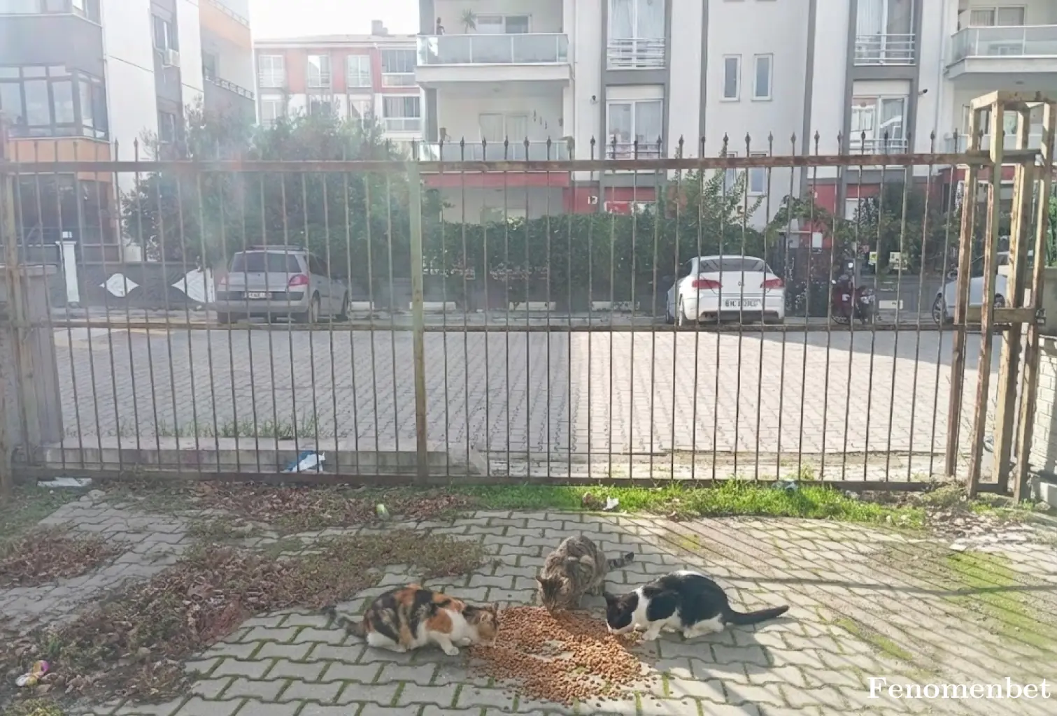 Ahmettxklc tarafından paylaşılan fotoğraf