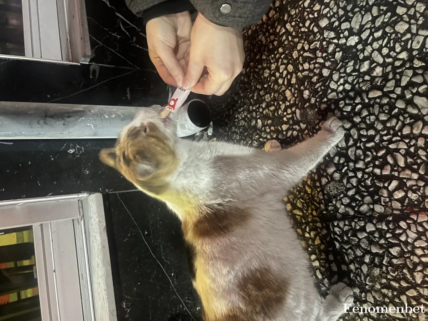 gokayyolus tarafından paylaşılan fotoğraf