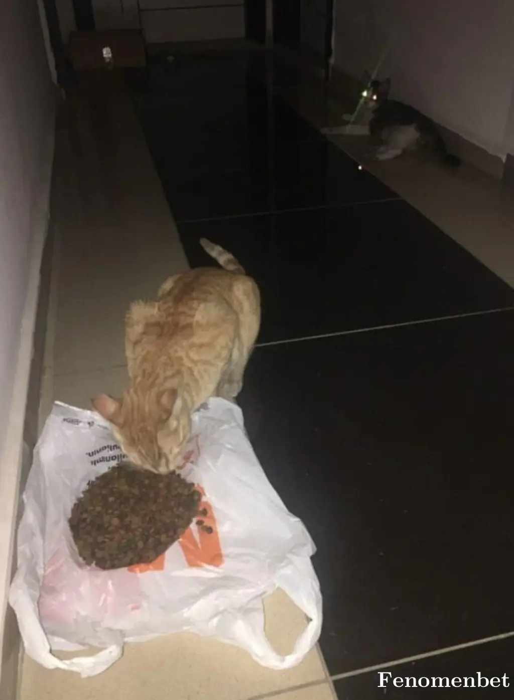 Myusuf12 tarafından paylaşılan fotoğraf