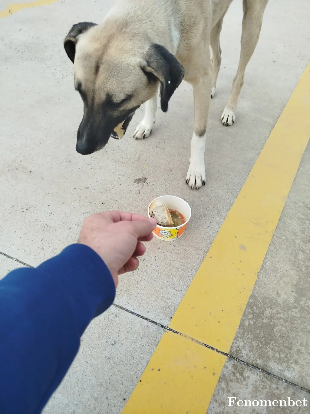 esinti3445 tarafından paylaşılan fotoğraf