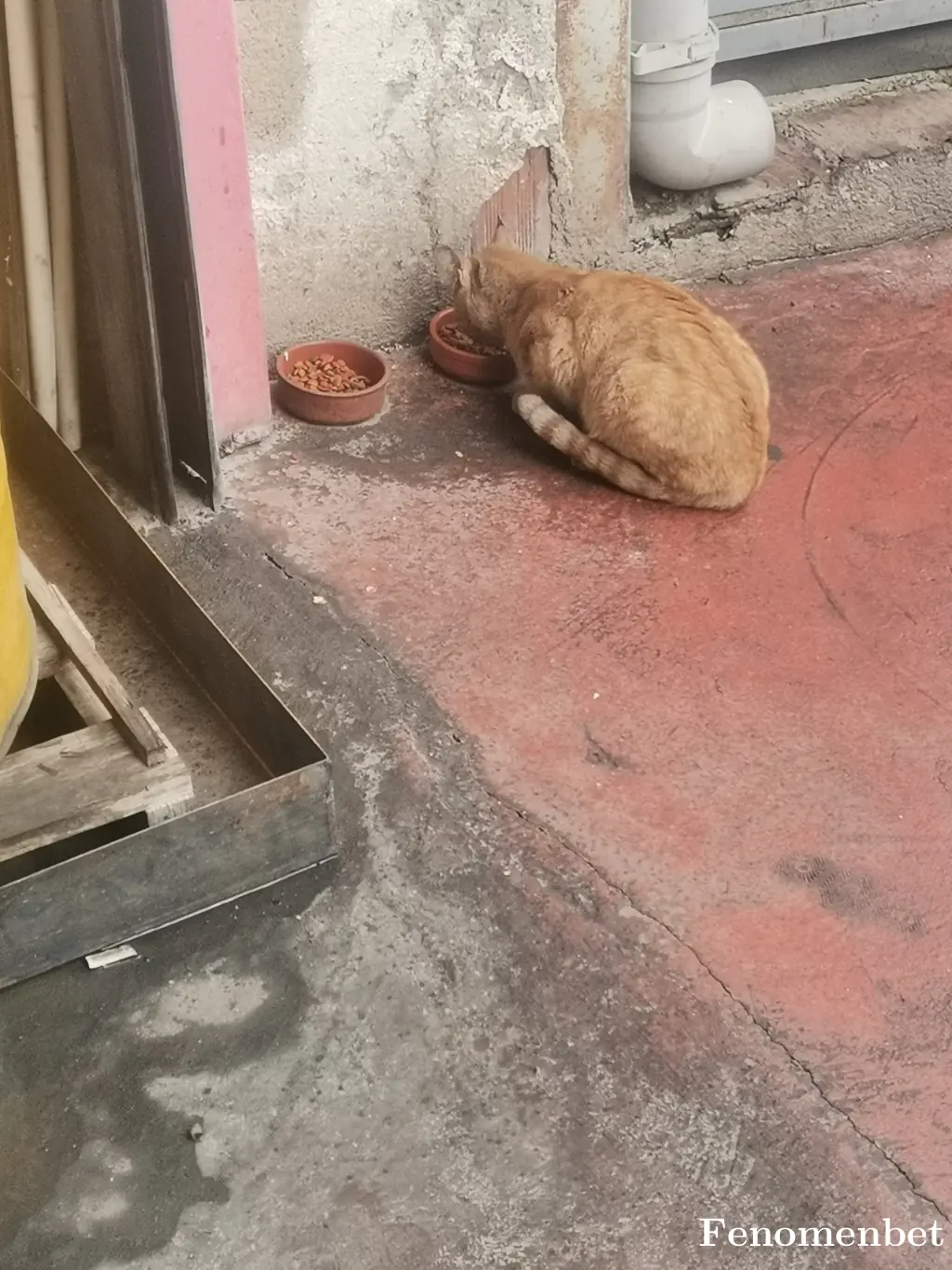 Dersinemre664 tarafından paylaşılan fotoğraf