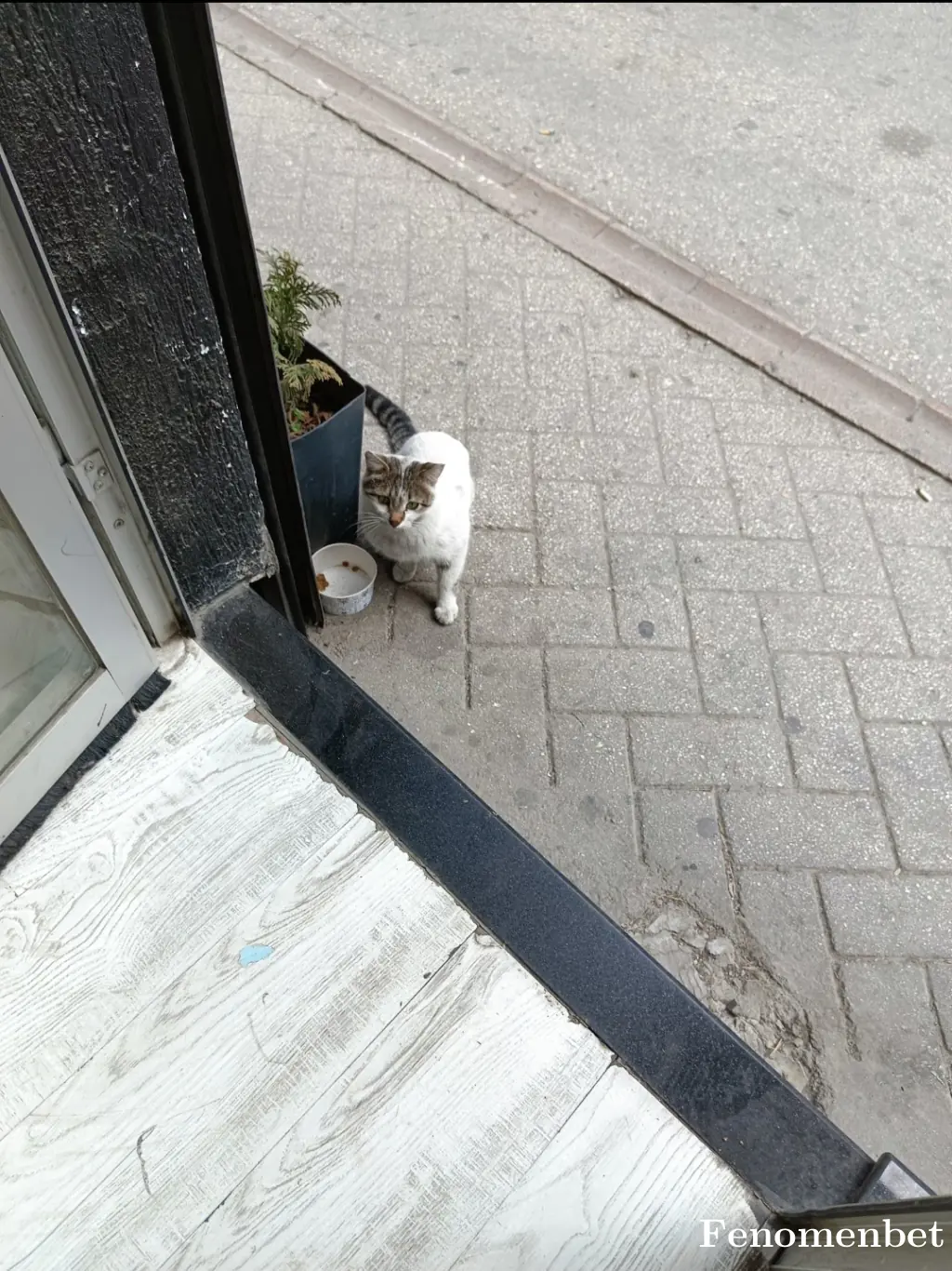 ferhat0555 tarafından paylaşılan fotoğraf