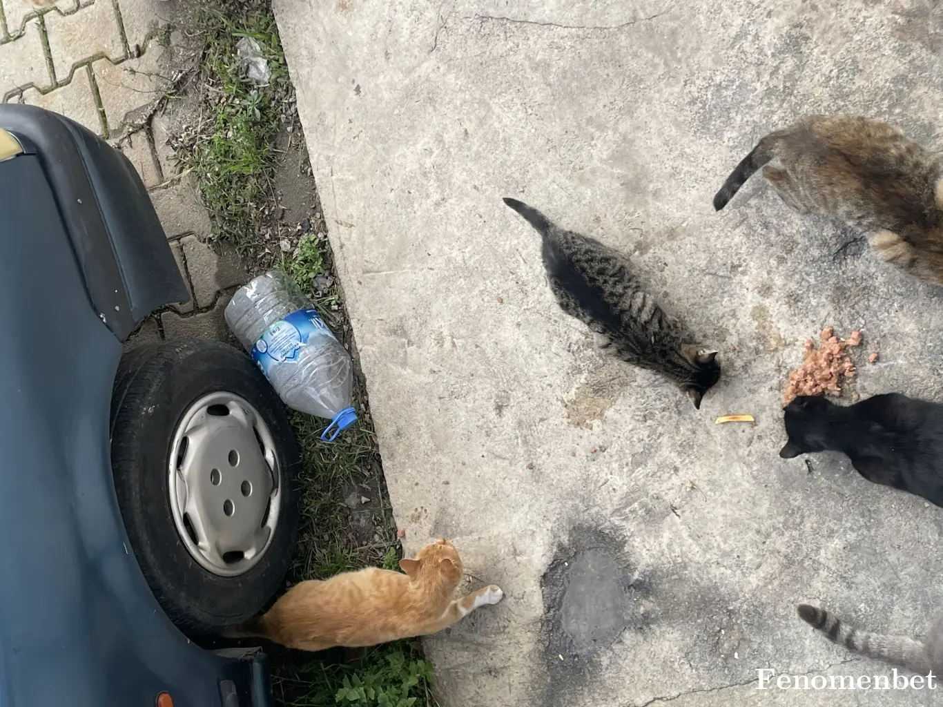 Jawex274 tarafından paylaşılan fotoğraf