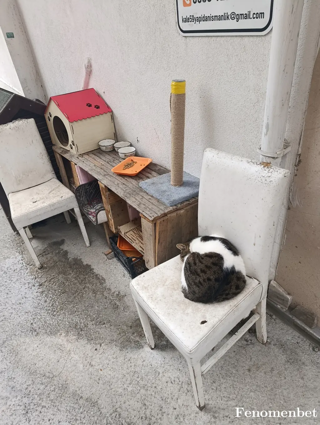 Margi59 tarafından paylaşılan fotoğraf