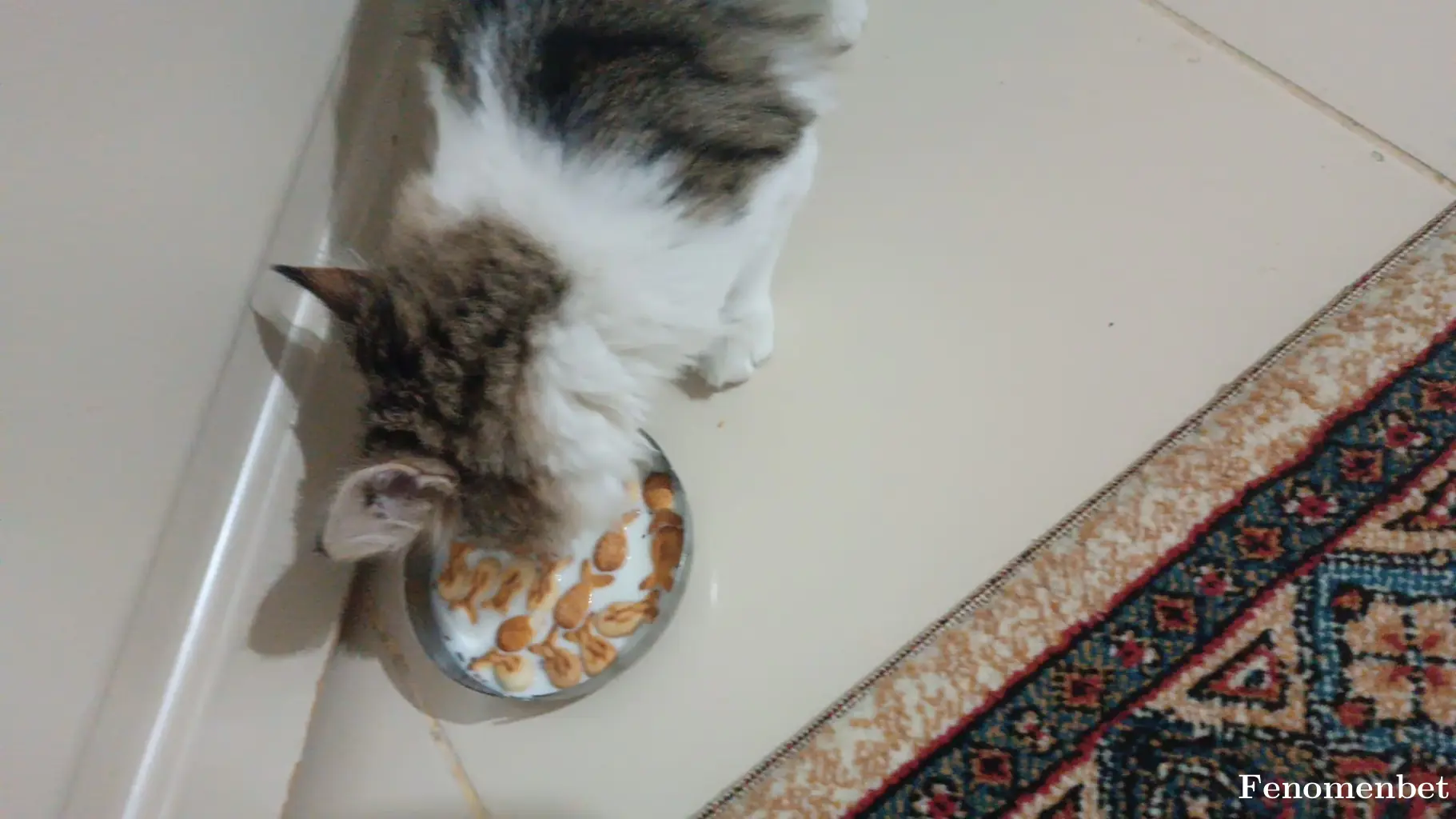 Erolyldrim tarafından paylaşılan fotoğraf