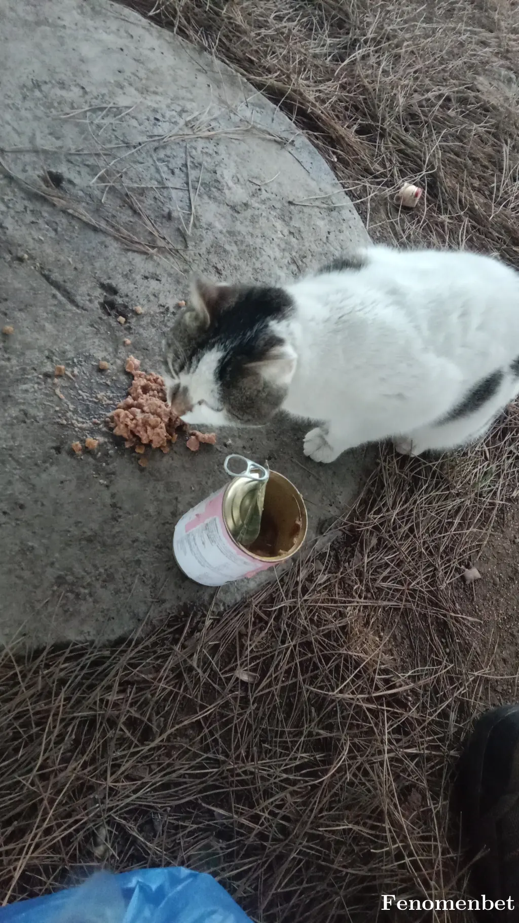 cihanduymaz  tarafından paylaşılan fotoğraf