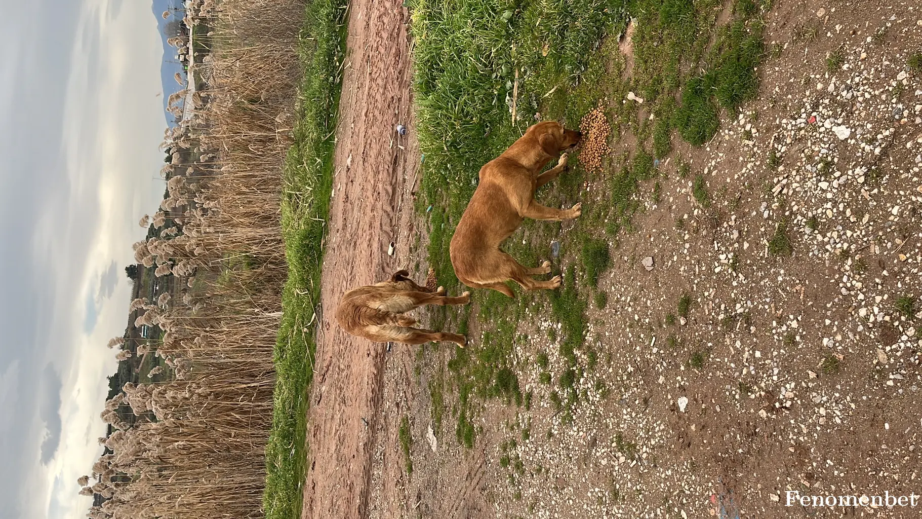 evognss16 tarafından paylaşılan fotoğraf