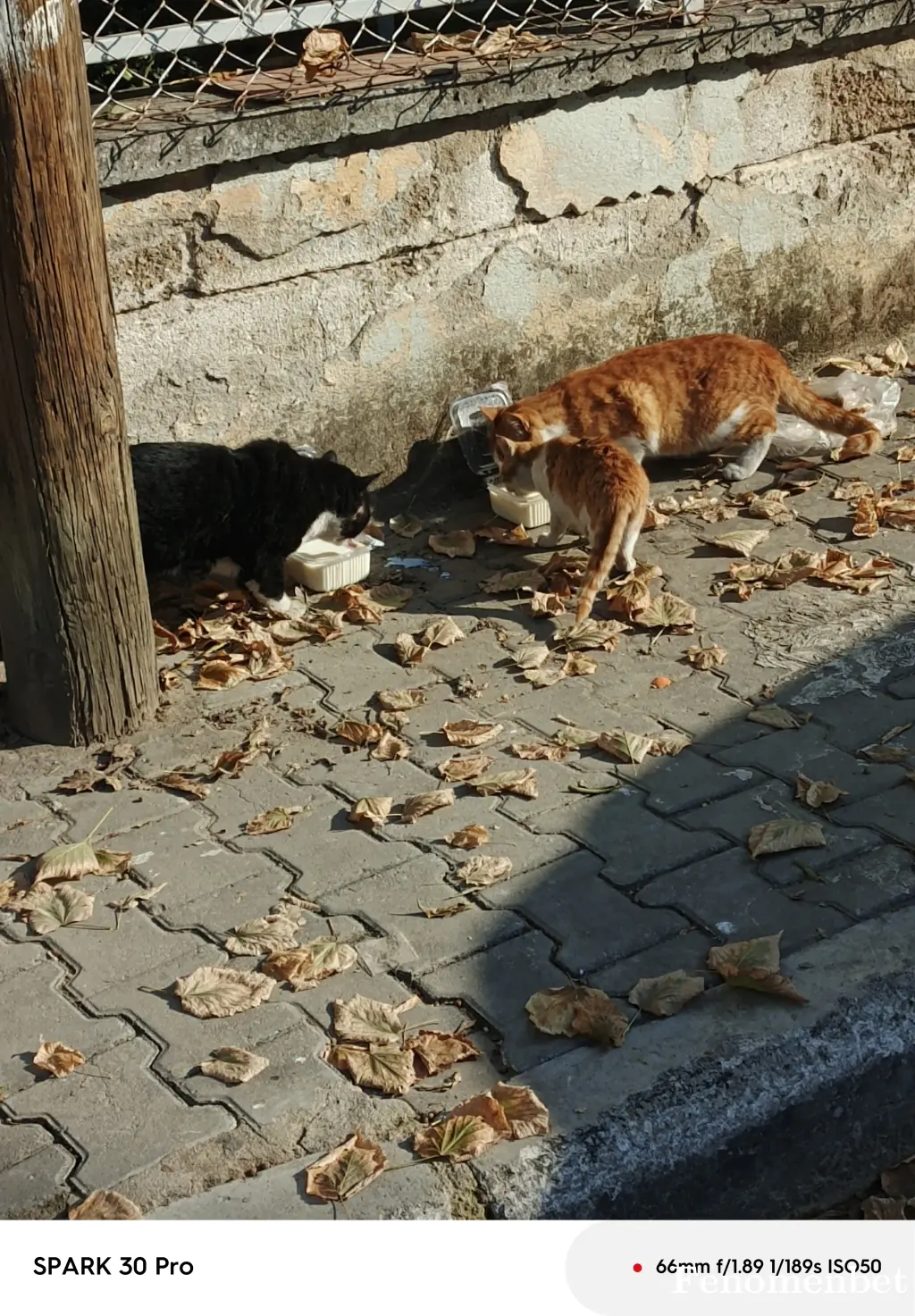 Bolllu tarafından paylaşılan fotoğraf