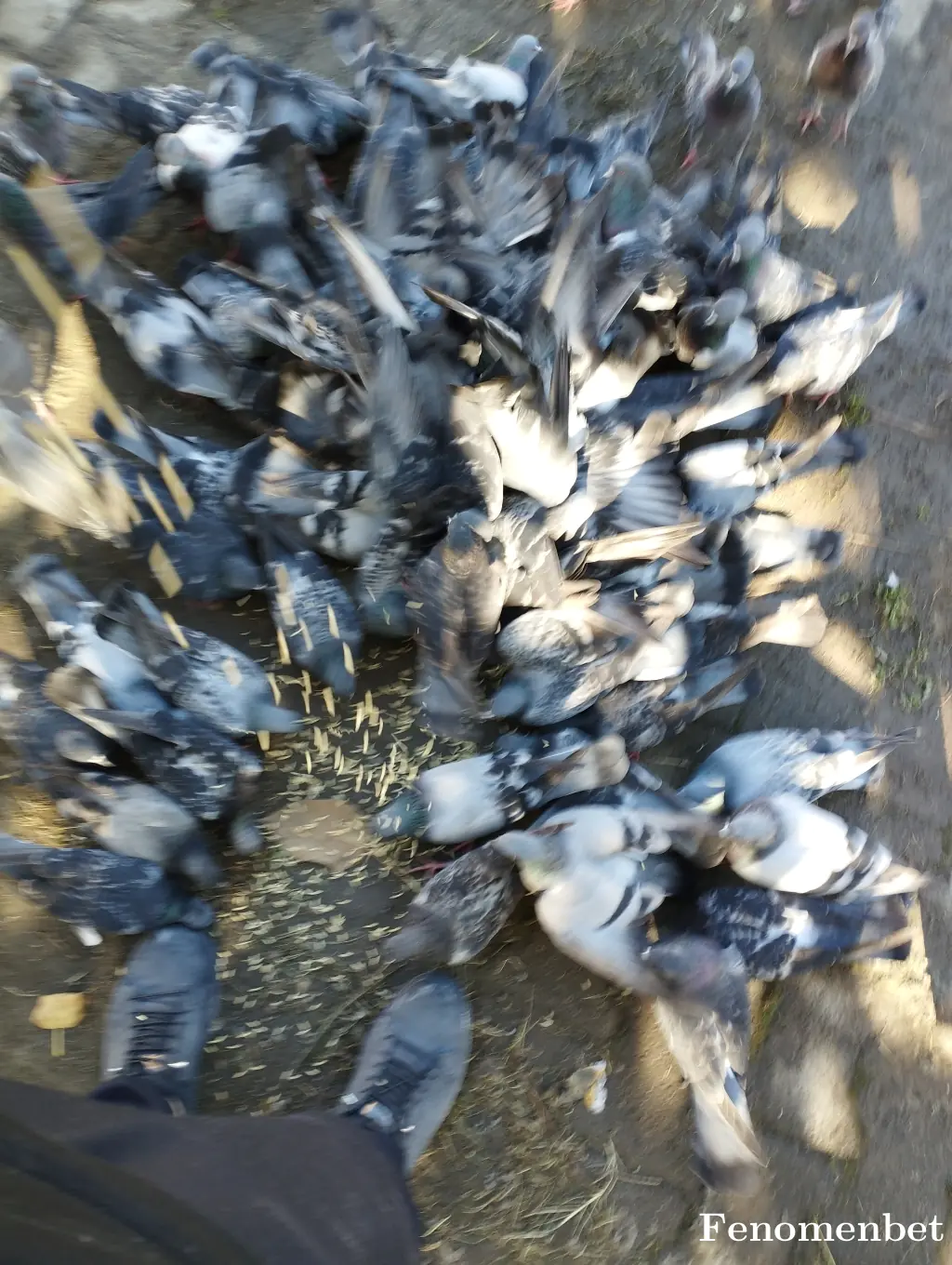 Alisaglam61x tarafından paylaşılan fotoğraf