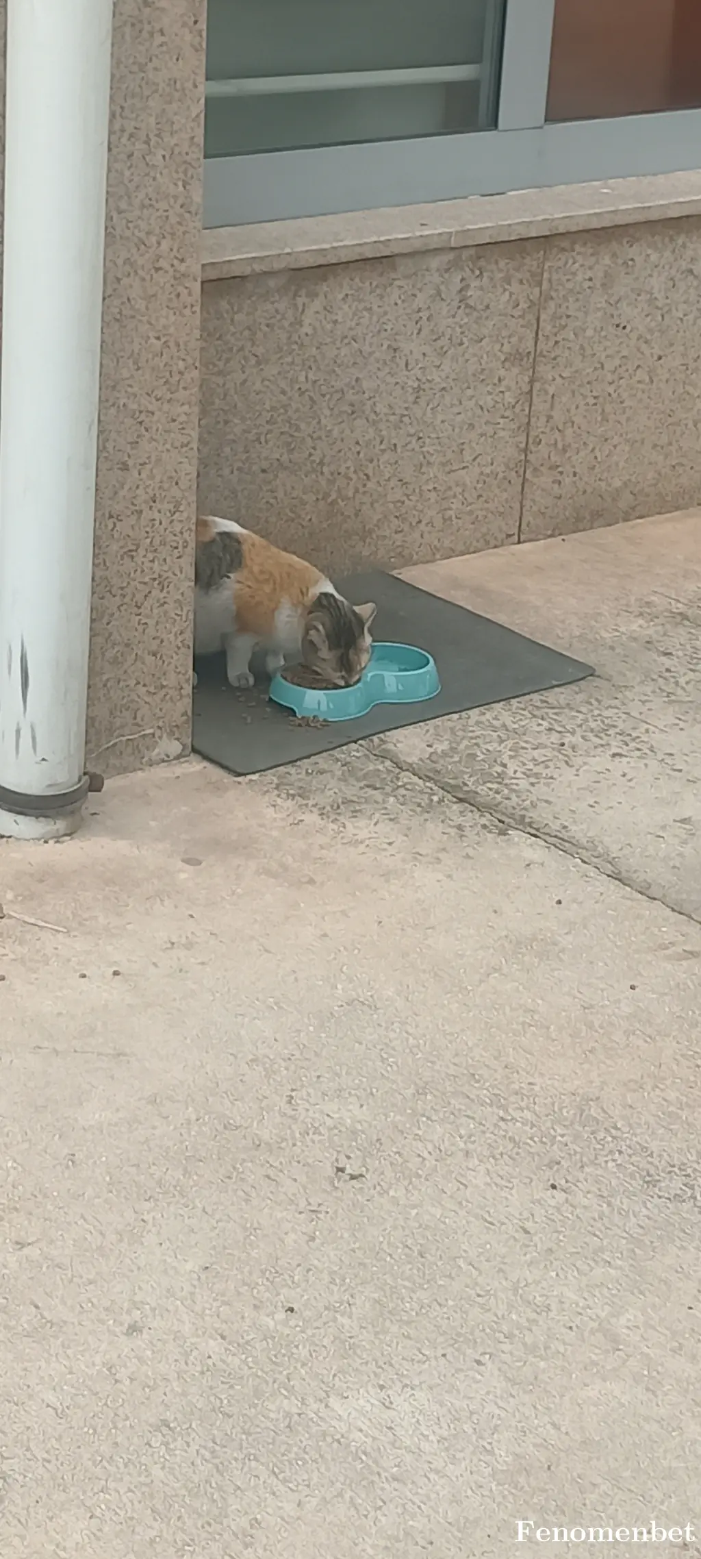 mehmet27 tarafından paylaşılan fotoğraf