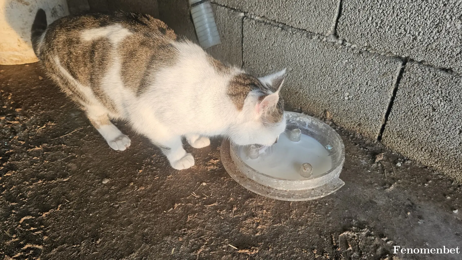 Denco68 tarafından paylaşılan fotoğraf